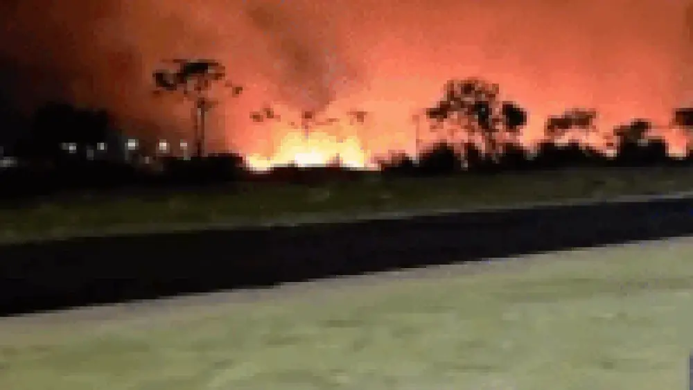 Incêndio de grandes proporções atinge mata em Chapadão do Sul