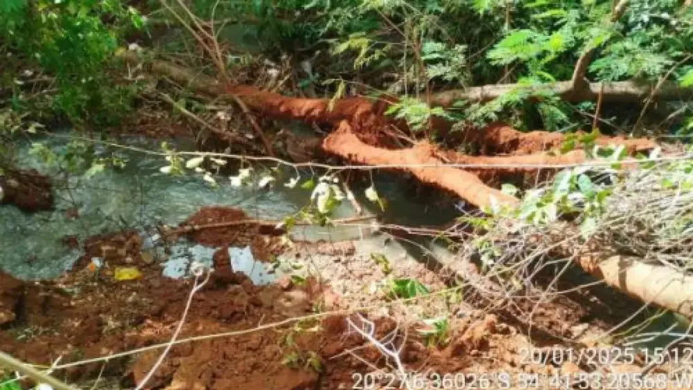 MP apura poluição com mortandade de peixes no Córrego Imbirussu