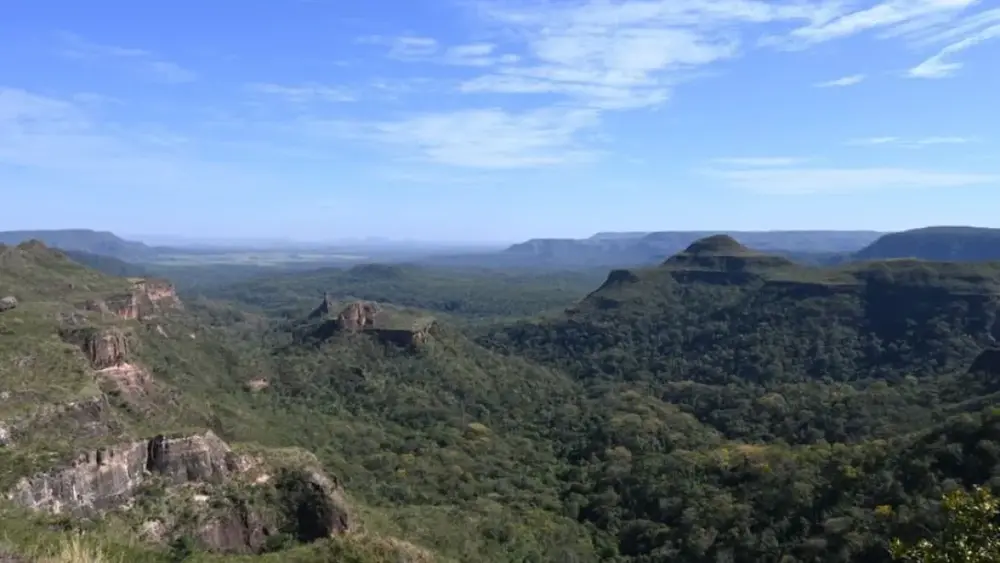Pantanal reduz desmatamento em 65% e Cerrado cai 11,5%