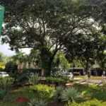Justiça condena empresários por fraude de R$ 1,4 milhão em mapas