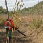 Prevenção evita incêndios na Serra do Amolar em 2026