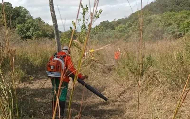 Prevenção evita incêndios na Serra do Amolar em 2026