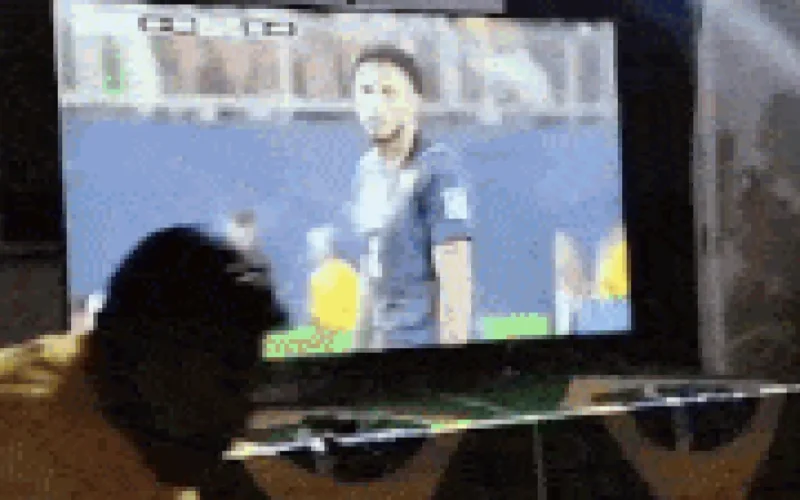 Estreia de Éderson na Copa emociona família em Campo Grande