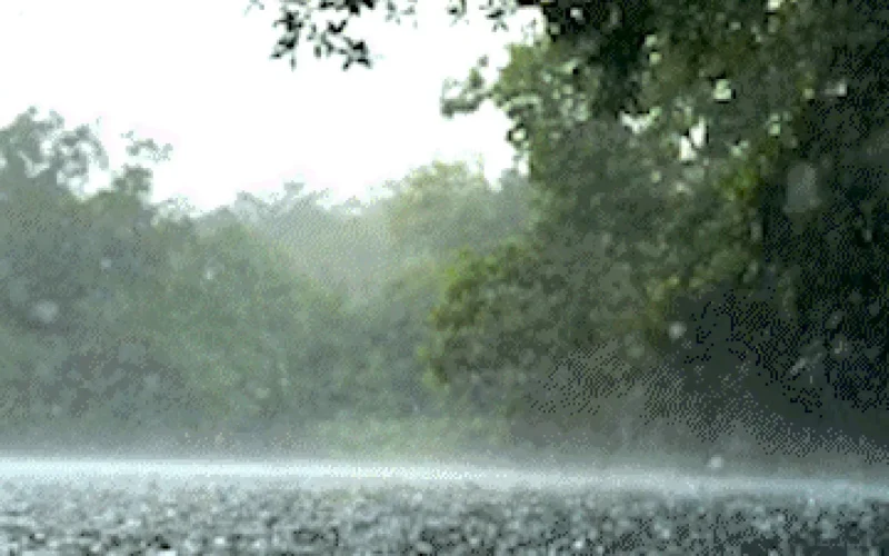Rio da Prata mantém águas cristalinas mesmo sob chuva